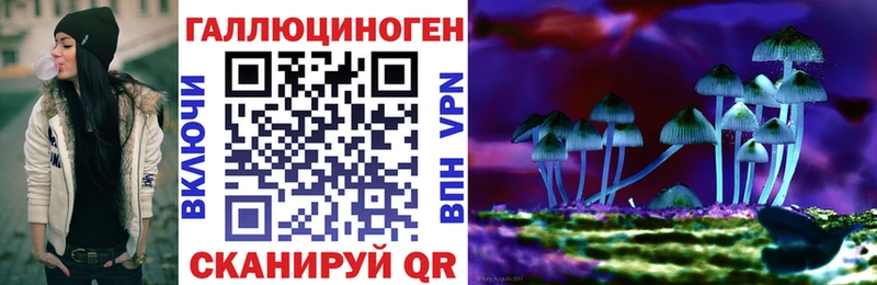 Псилоцибиновые грибы MAGIC MUSHROOMS Камызяк